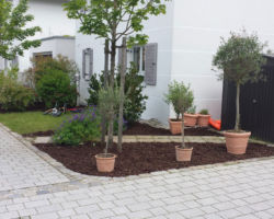 Gartengestaltung